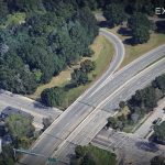 contractor destroys century-old trees