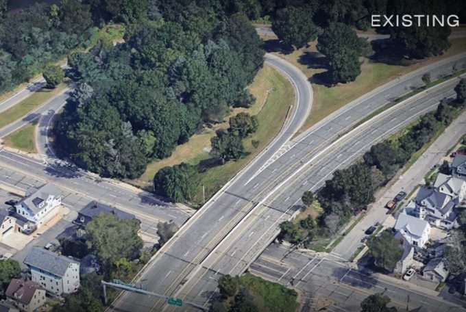contractor destroys century-old trees