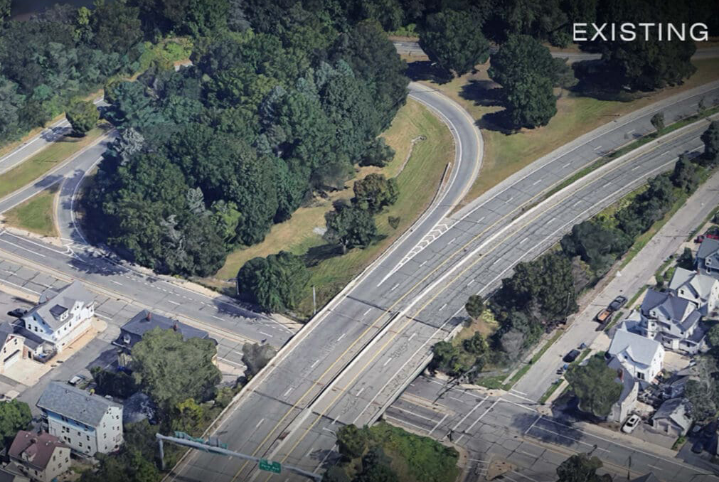 contractor destroys century-old trees