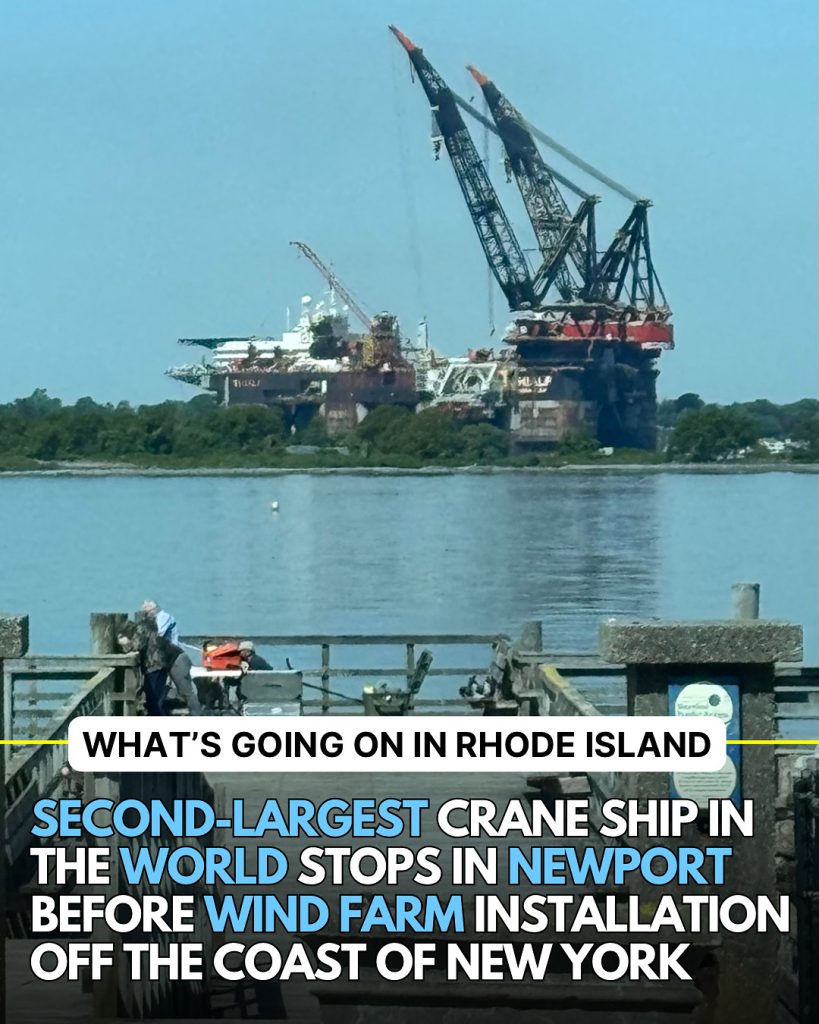 second largest crane ship