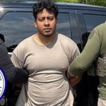 immigration agents have arrested a suspected child predator