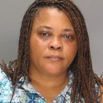 dog died from extreme heat