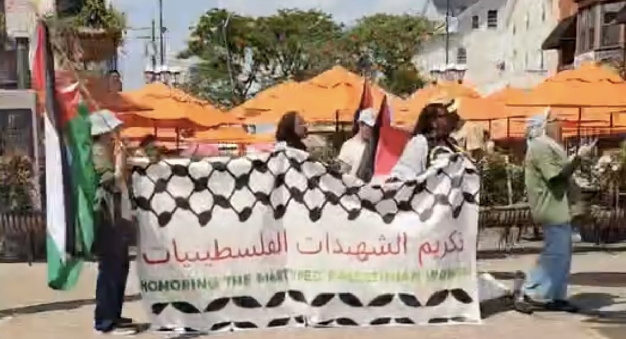 pro-Palestine rally at DePasquale Square