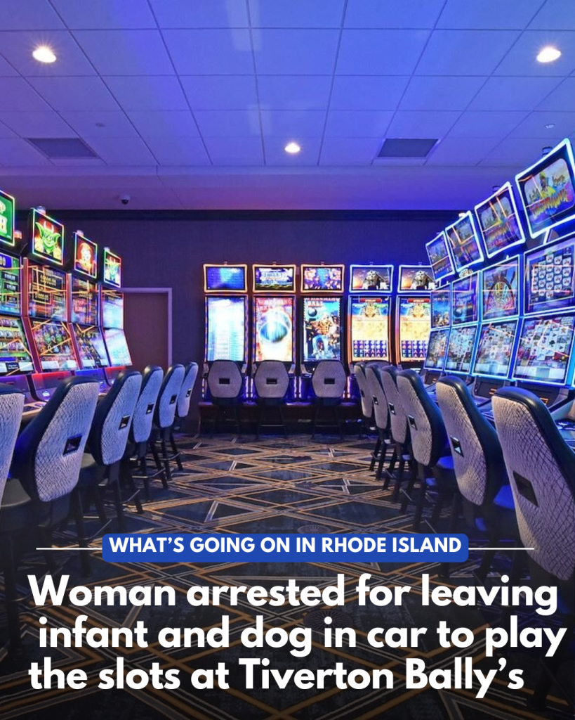 left baby dog in car Bally's Casino Tiverton
