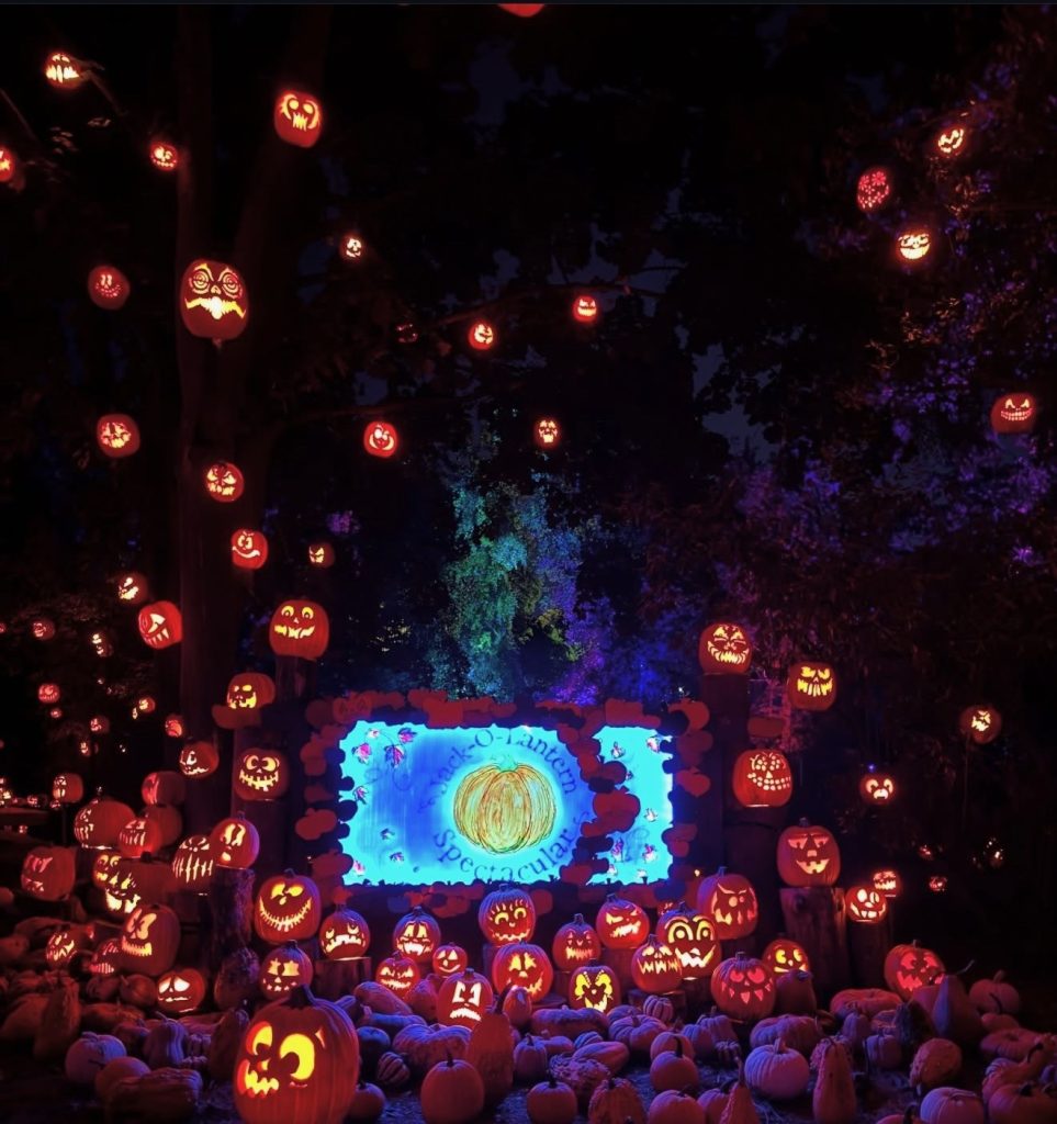 most obsessed with Halloween