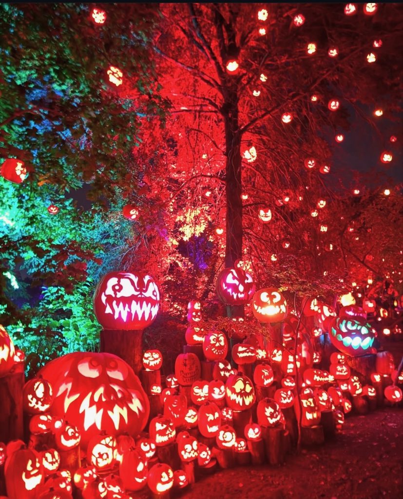 most obsessed with Halloween