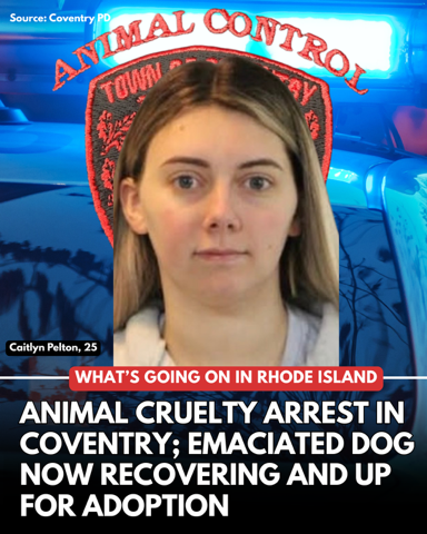 Coventry woman arrested on animal cruelty. Caitlyn Pelton