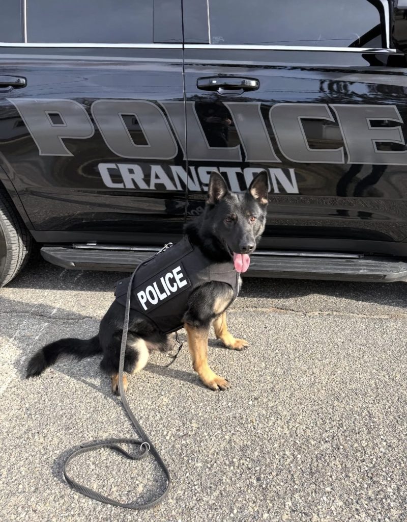 Cranston police K9 vests donated