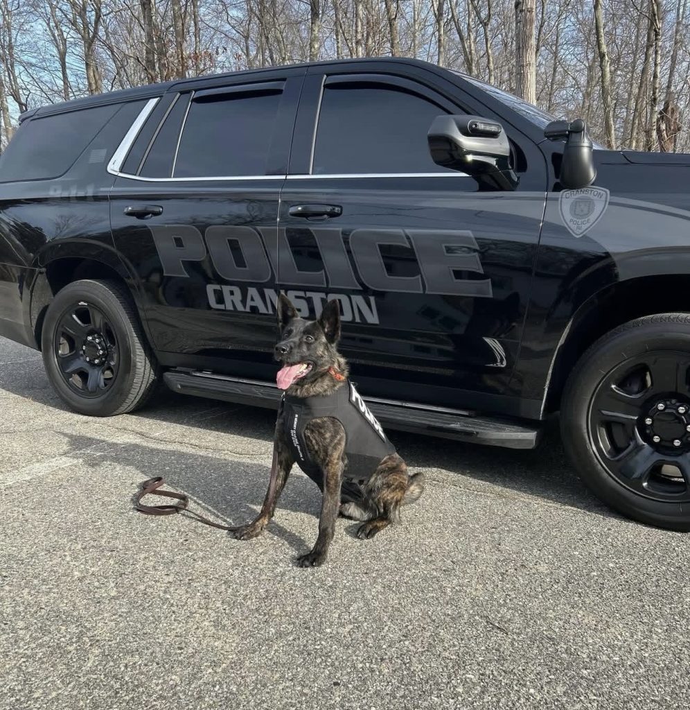 Cranston police K9 vests donated