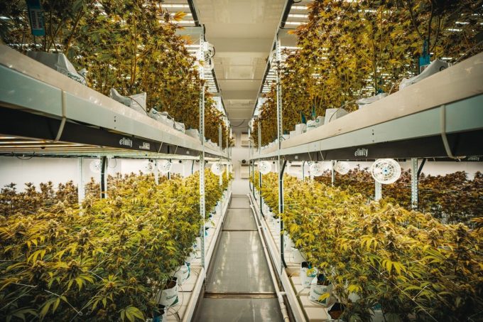 Rhode Island cannabis permit cap