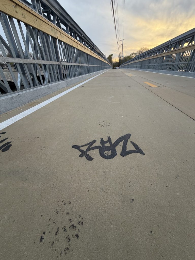 East Bay Bike Path bridge graffiti