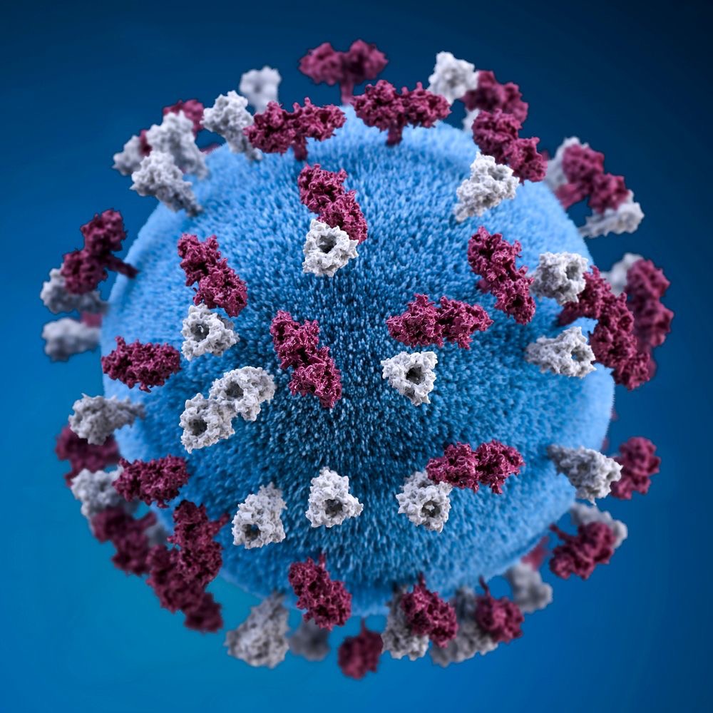 Rhode Island measles