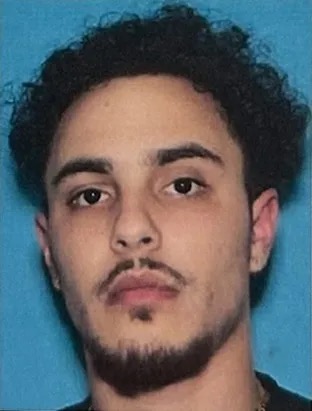 Cranston murder Swansea crash