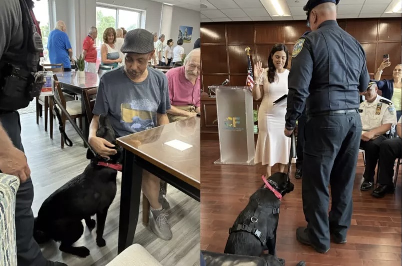 central falls comfort dog
