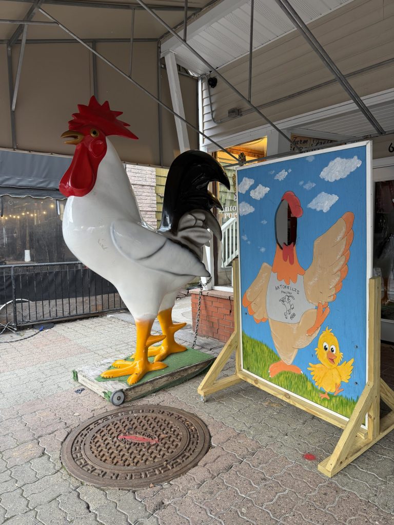 Providence bird flu