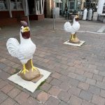 Providence bird flu