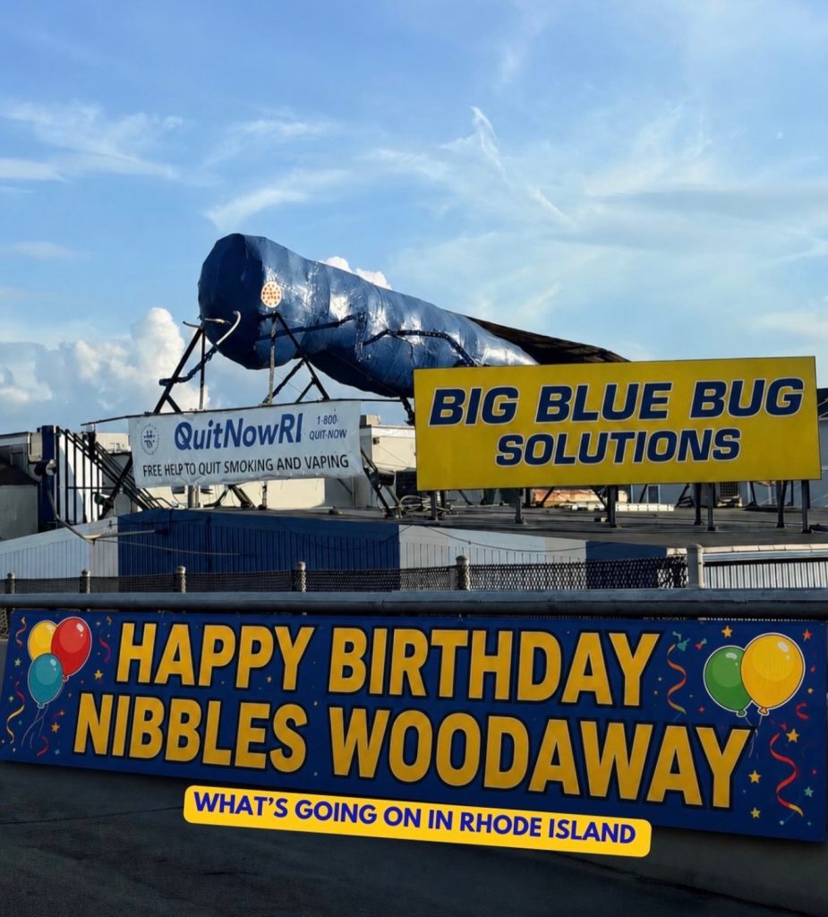 big blue bug birthday