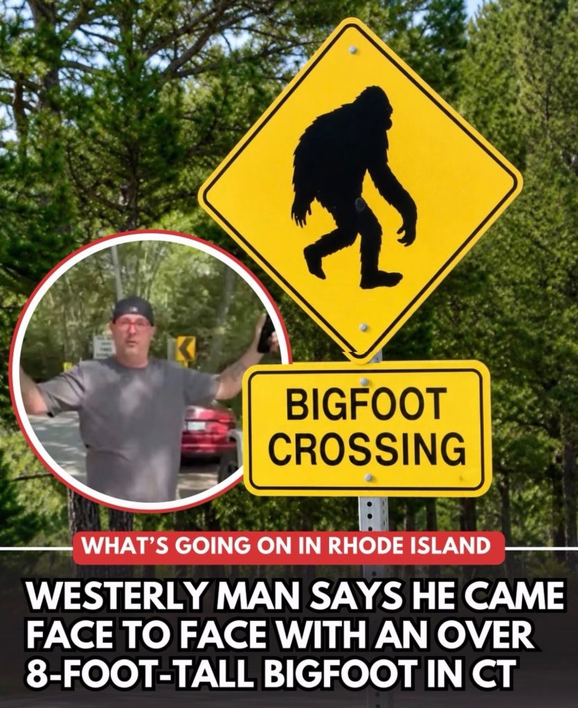 Connecticut bigfoot sighting