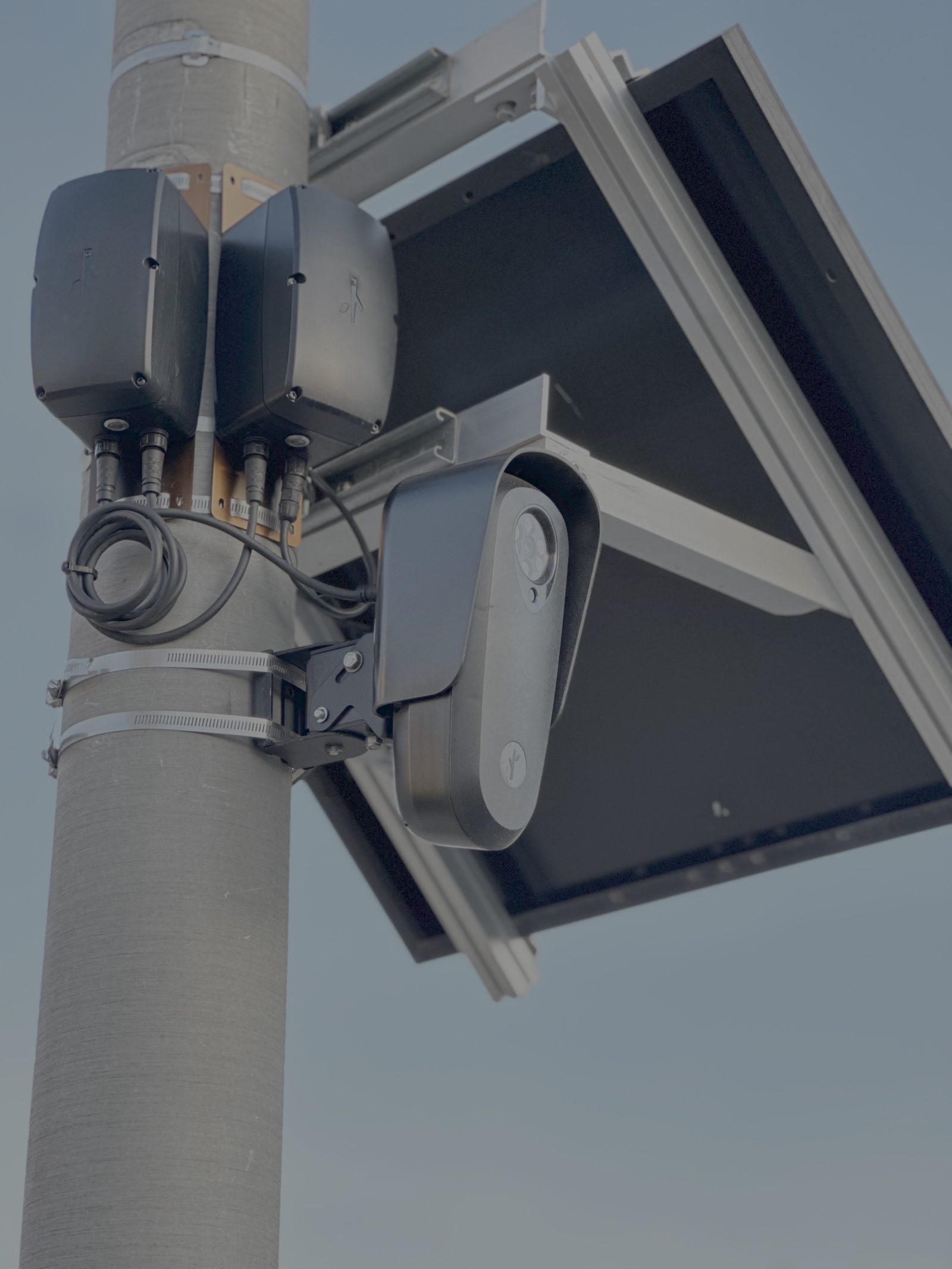 Narragansett Flock cameras